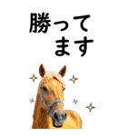 敬語で競馬【BIG】（個別スタンプ：14）