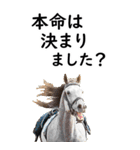 敬語で競馬【BIG】（個別スタンプ：21）