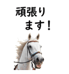 敬語で競馬【BIG】（個別スタンプ：24）