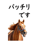 敬語で競馬【BIG】（個別スタンプ：37）