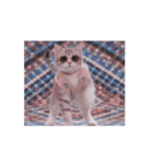 踊る！ダンサーキャット！（個別スタンプ：1）