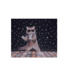 踊る！ダンサーキャット！（個別スタンプ：3）