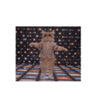 踊る！ダンサーキャット！（個別スタンプ：9）