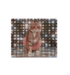 踊る！ダンサーキャット！（個別スタンプ：12）