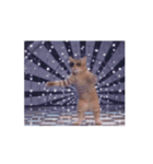 踊る！ダンサーキャット！（個別スタンプ：13）
