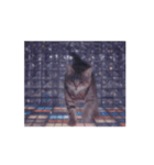 踊る！ダンサーキャット！（個別スタンプ：14）