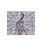 踊る！ダンサーキャット！（個別スタンプ：16）