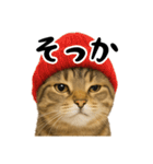 虎之助の猫語録（個別スタンプ：3）