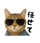 虎之助の猫語録（個別スタンプ：4）