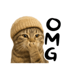 虎之助の猫語録（個別スタンプ：9）