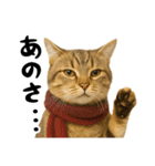 虎之助の猫語録（個別スタンプ：13）