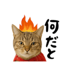 虎之助の猫語録（個別スタンプ：14）