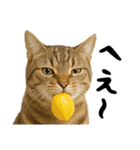 虎之助の猫語録（個別スタンプ：15）