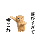 動く！ネコ界隈（個別スタンプ：4）