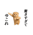 動く！ネコ界隈（個別スタンプ：5）