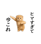 動く！ネコ界隈（個別スタンプ：10）