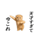 動く！ネコ界隈（個別スタンプ：18）