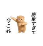 動く！ネコ界隈（個別スタンプ：23）