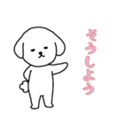 ビションフリーゼの男の子（日常）（個別スタンプ：1）
