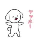 ビションフリーゼの男の子（日常）（個別スタンプ：3）