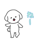 ビションフリーゼの男の子（日常）（個別スタンプ：7）