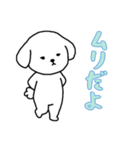 ビションフリーゼの男の子（日常）（個別スタンプ：8）
