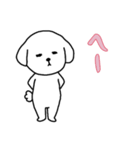 ビションフリーゼの男の子（日常）（個別スタンプ：9）