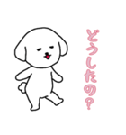 ビションフリーゼの男の子（日常）（個別スタンプ：10）
