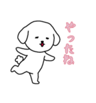 ビションフリーゼの男の子（日常）（個別スタンプ：11）