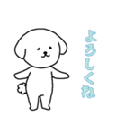 ビションフリーゼの男の子（日常）（個別スタンプ：13）