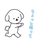 ビションフリーゼの男の子（日常）（個別スタンプ：16）