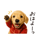 ずっと使える♪ダックスの日常フレーズ（個別スタンプ：1）
