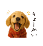 ずっと使える♪ダックスの日常フレーズ（個別スタンプ：2）