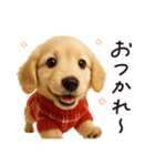ずっと使える♪ダックスの日常フレーズ（個別スタンプ：5）