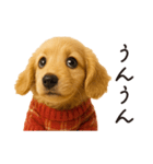 ずっと使える♪ダックスの日常フレーズ（個別スタンプ：11）