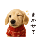 ずっと使える♪ダックスの日常フレーズ（個別スタンプ：17）