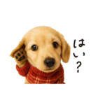 ずっと使える♪ダックスの日常フレーズ（個別スタンプ：21）