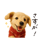 ずっと使える♪ダックスの日常フレーズ（個別スタンプ：22）