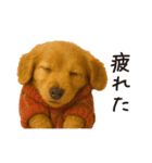 ずっと使える♪ダックスの日常フレーズ（個別スタンプ：27）