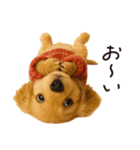 ずっと使える♪ダックスの日常フレーズ（個別スタンプ：29）