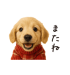 ずっと使える♪ダックスの日常フレーズ（個別スタンプ：31）