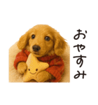 ずっと使える♪ダックスの日常フレーズ（個別スタンプ：32）