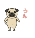 パグパグの日常（個別スタンプ：1）