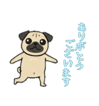 パグパグの日常（個別スタンプ：3）