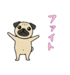 パグパグの日常（個別スタンプ：12）