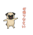 パグと一緒の日常（個別スタンプ：2）