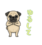 パグと一緒の日常（個別スタンプ：3）
