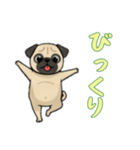 パグと一緒の日常（個別スタンプ：6）