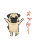 パグと一緒の日常（個別スタンプ：7）