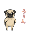 パグと一緒の日常（個別スタンプ：8）